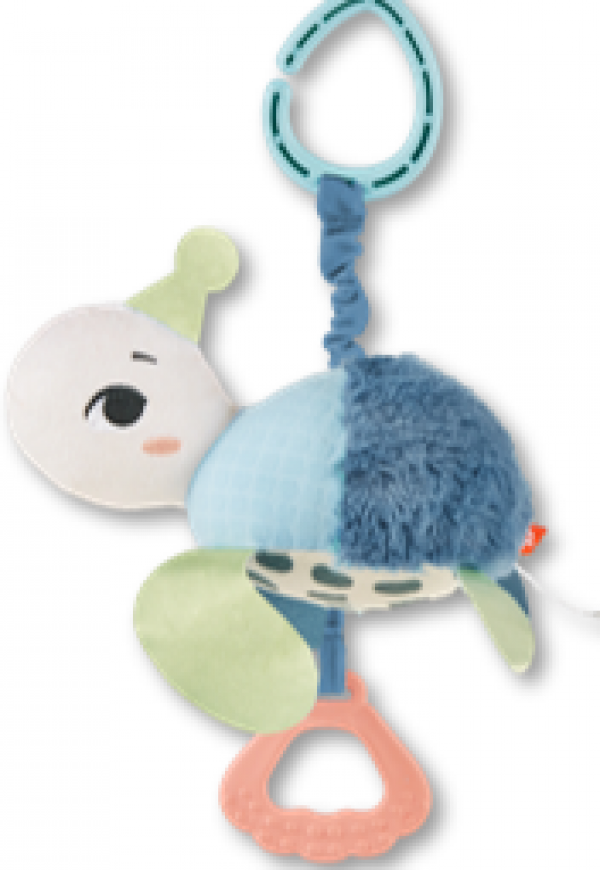 ΧΕΛΩΝΑΚΙ ΚΑΡΟΤΣΙΟΥ