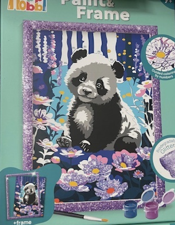 HAPPI HOBBI PAINT & FRAME DREAMY PANDA