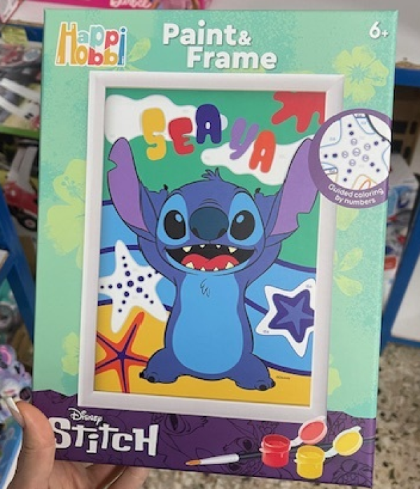 HAPPI HOBBI PAINT & FRAME STITCH