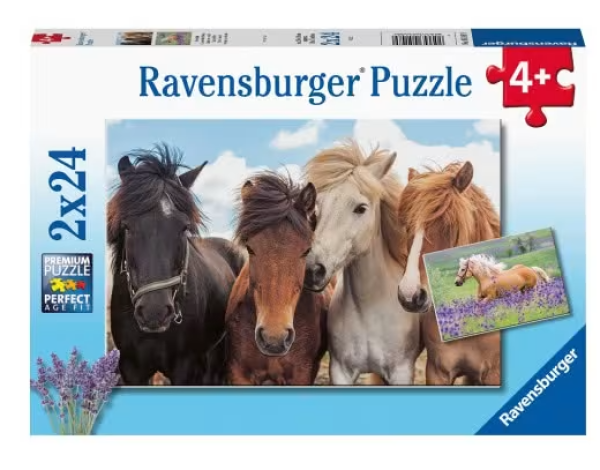 ΠΑΖΛ 2χ24 τεμ.ΑΛΟΓΑ (ΤΣΕΧΙΑ)