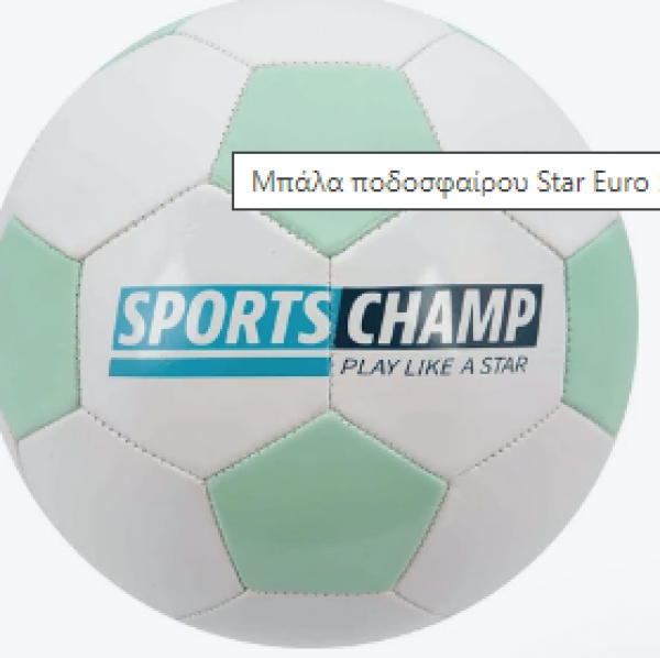 ΜΠΑΛΑ ΠΟΔΟΣ.220MM ΕURO STAR 