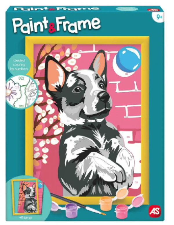 PAINT & FRAME PLAYFUL HUSKY  