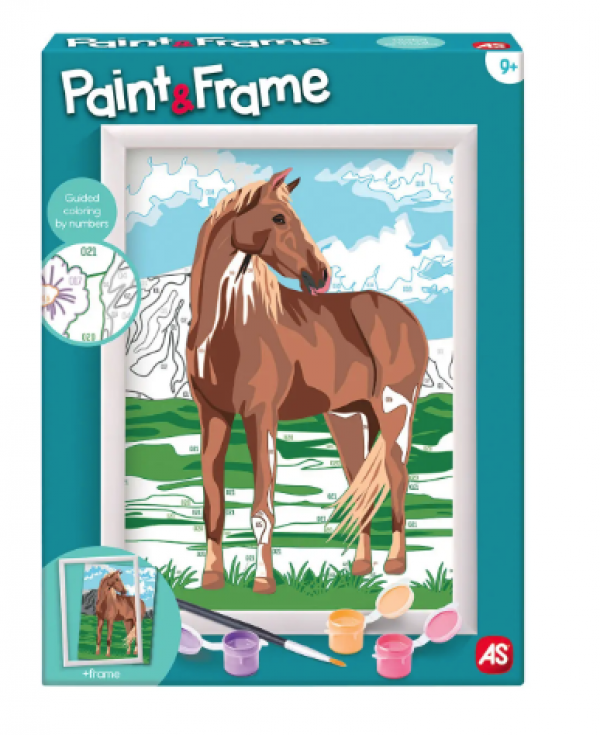 PAINT & FRAME WILD HORSE   